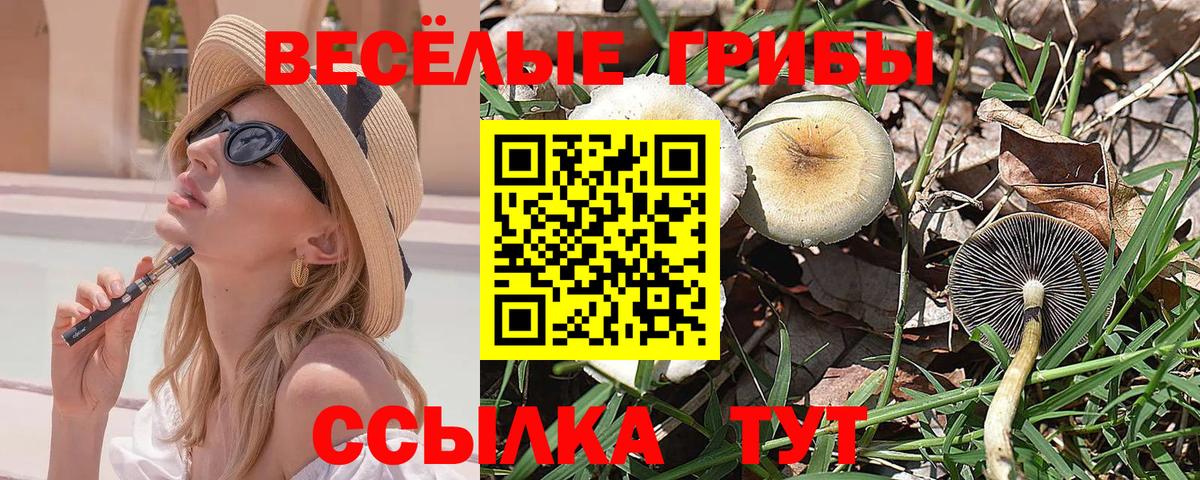 Татарск  Псилоцибиновые грибы MAGIC MUSHROOMS  Вход с VPN  Псилоцибиновые грибы Magic Shrooms 