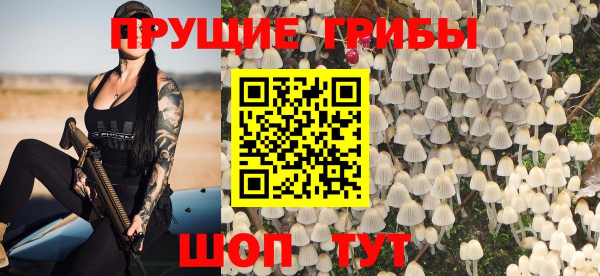 Псилоцибиновые грибы Psilocybine cubensis Татарск